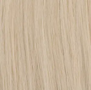  #60 Platinablond - Premium äkta löshår remy tejp