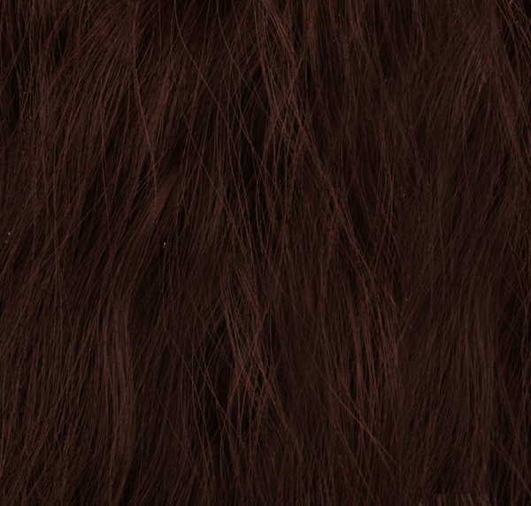  #4B Rdbrun - Hstsvans vgig rosett