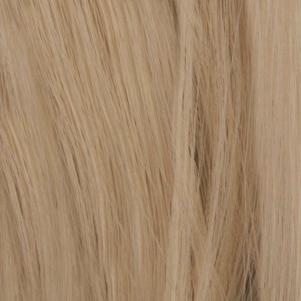  Lshr lockigt 5 Clip on - Askblond #M24/613